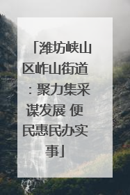 潍坊峡山区岞山街道：聚力集采谋发展 便民惠民办实事