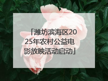 潍坊滨海区2025年农村公益电影放映活动启动