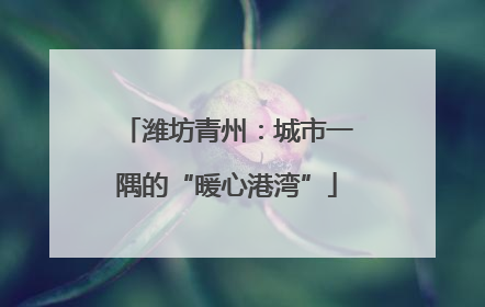 潍坊青州：城市一隅的“暖心港湾”