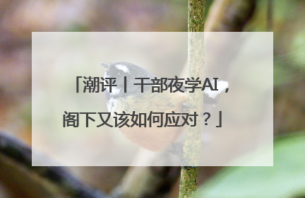 潮评丨干部夜学AI，阁下又该如何应对？
