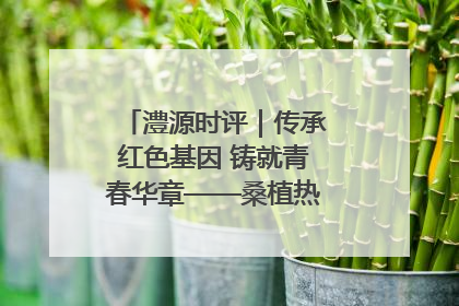 澧源时评｜传承红色基因 铸就青春华章——桑植热土上的青春长征