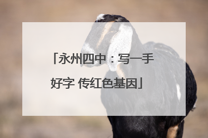 永州四中：写一手好字 传红色基因