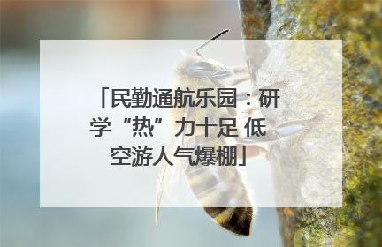 民勤通航乐园：研学“热”力十足 低空游人气爆棚