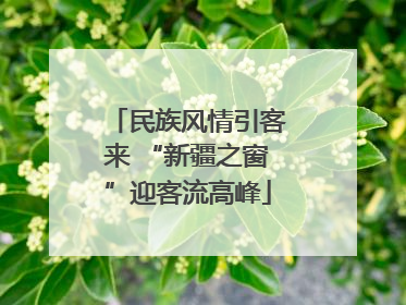 民族风情引客来 “新疆之窗”迎客流高峰