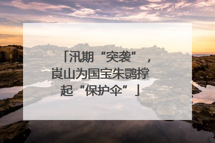 汛期“突袭”，崀山为国宝朱鹮撑起“保护伞”