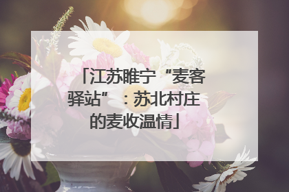 江苏睢宁“麦客驿站”：苏北村庄的麦收温情