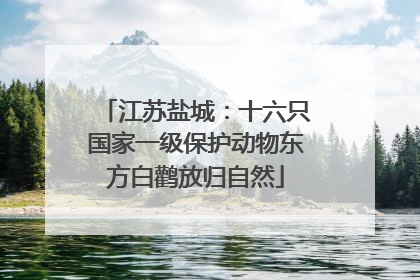 江苏盐城：十六只国家一级保护动物东方白鹳放归自然