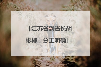 江苏省副省长胡彬郴，分工明确