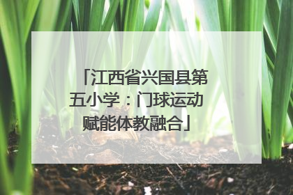 江西省兴国县第五小学：门球运动赋能体教融合
