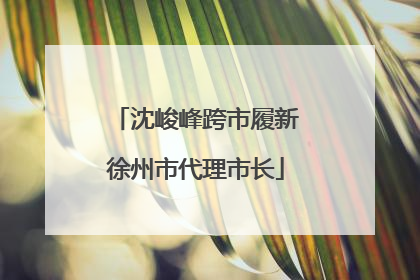 沈峻峰跨市履新徐州市代理市长