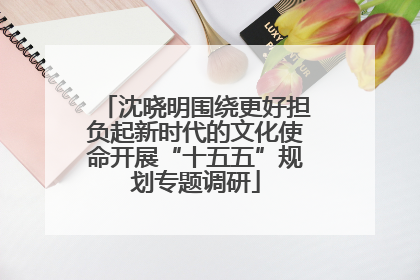沈晓明围绕更好担负起新时代的文化使命开展“十五五”规划专题调研