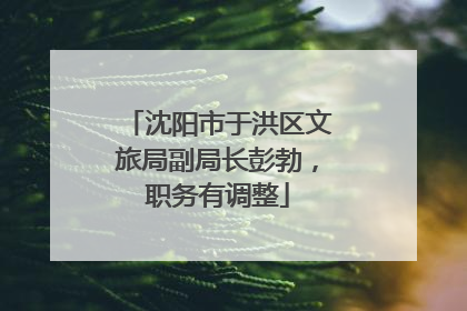 沈阳市于洪区文旅局副局长彭勃，职务有调整