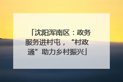 沈阳浑南区：政务服务进村屯，“村政通”助力乡村振兴