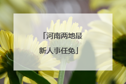 河南两地最新人事任免