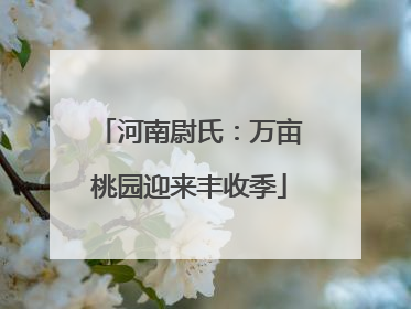 河南尉氏：万亩桃园迎来丰收季