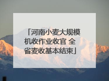 河南小麦大规模机收作业收官 全省麦收基本结束