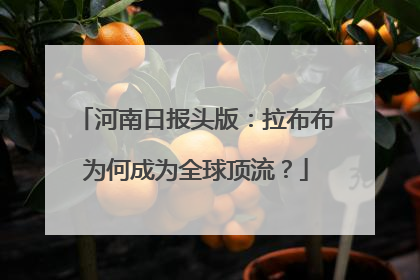 河南日报头版：拉布布为何成为全球顶流？