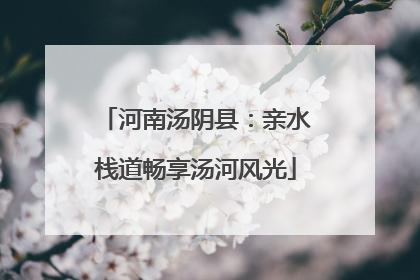 河南汤阴县：亲水栈道畅享汤河风光