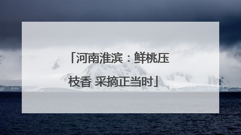 河南淮滨：鲜桃压枝香 采摘正当时