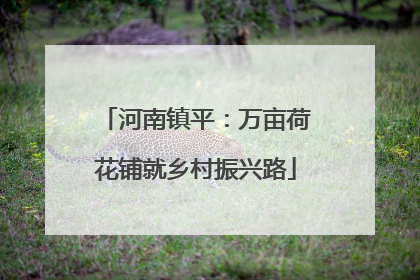 河南镇平：万亩荷花铺就乡村振兴路