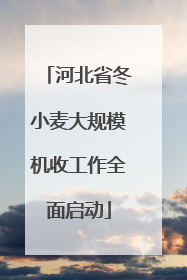 河北省冬小麦大规模机收工作全面启动