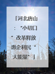 河北唐山：“小切口”改革释放惠企利民“大能量”