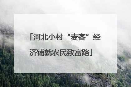 河北小村“麦客”经济铺就农民致富路