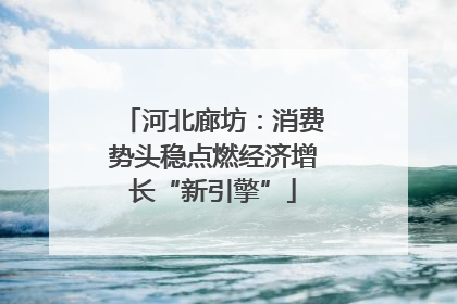 河北廊坊：消费势头稳点燃经济增长“新引擎”
