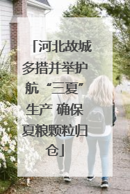 河北故城多措并举护航“三夏”生产 确保夏粮颗粒归仓