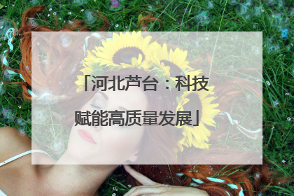 河北芦台：科技赋能高质量发展