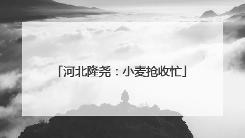 河北隆尧：小麦抢收忙