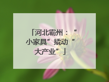 河北霸州：“小家具”撬动“大产业”