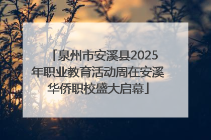 泉州市安溪县2025年职业教育活动周在安溪华侨职校盛大启幕
