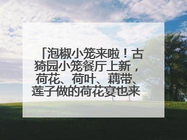 泡椒小笼来啦！古猗园小笼餐厅上新，荷花、荷叶、藕带、莲子做的荷花宴也来尝一下？