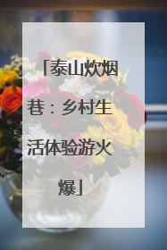 泰山炊烟巷：乡村生活体验游火爆
