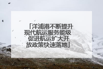 洋浦港不断提升现代航运服务能级 促进航运扩大开放政策快速落地