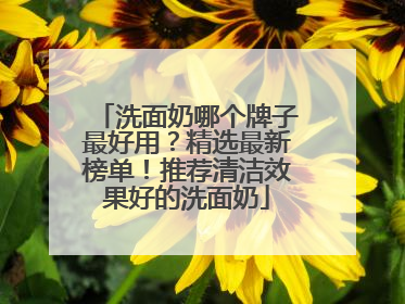洗面奶哪个牌子最好用？精选最新榜单！推荐清洁效果好的洗面奶