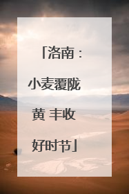 洛南：小麦覆陇黄 丰收好时节