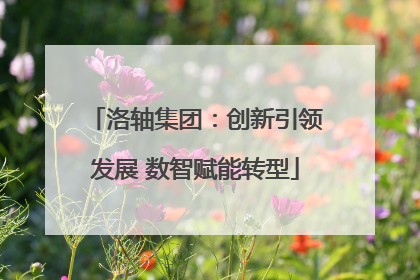 洛轴集团：创新引领发展 数智赋能转型