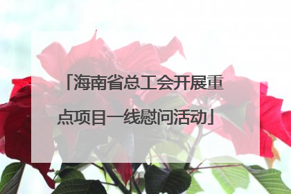 海南省总工会开展重点项目一线慰问活动
