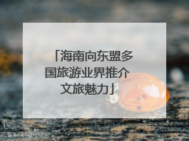 海南向东盟多国旅游业界推介文旅魅力