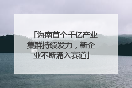 海南首个千亿产业集群持续发力，新企业不断涌入赛道