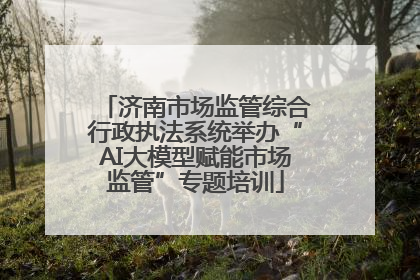 济南市场监管综合行政执法系统举办“AI大模型赋能市场监管”专题培训