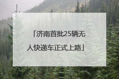 济南首批25辆无人快递车正式上路
