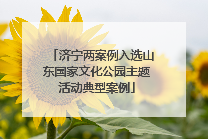 济宁两案例入选山东国家文化公园主题活动典型案例