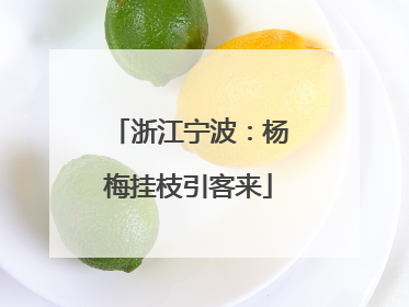 浙江宁波：杨梅挂枝引客来