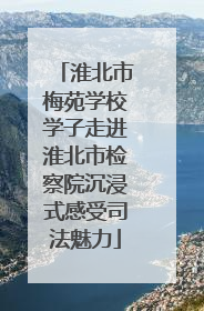 淮北市梅苑学校学子走进淮北市检察院沉浸式感受司法魅力