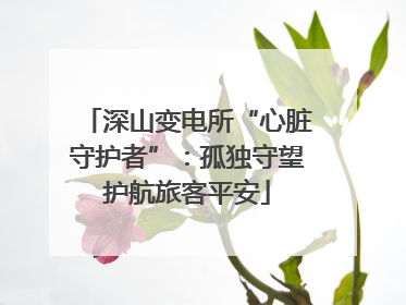 深山变电所“心脏守护者”：孤独守望护航旅客平安