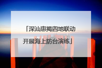 深汕惠揭四地联动开展海上防台演练