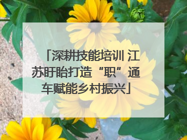 深耕技能培训 江苏盱眙打造“职”通车赋能乡村振兴